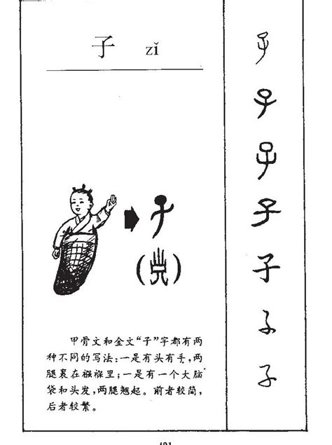 子名字|子的意思